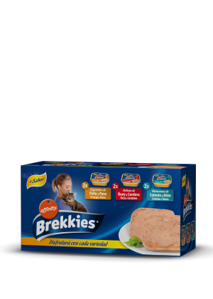 Brekkies Pack Multisabor